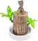 Brazil Wood Hydroponic Potted Plant Indoor Lucky Wood Potted Hydroponic Office